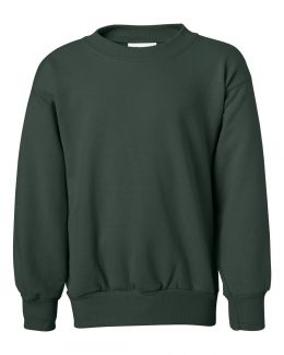 Hanes-Ecosmart® Youth Crewneck Sweatshirt-P360