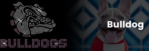 Bulldog